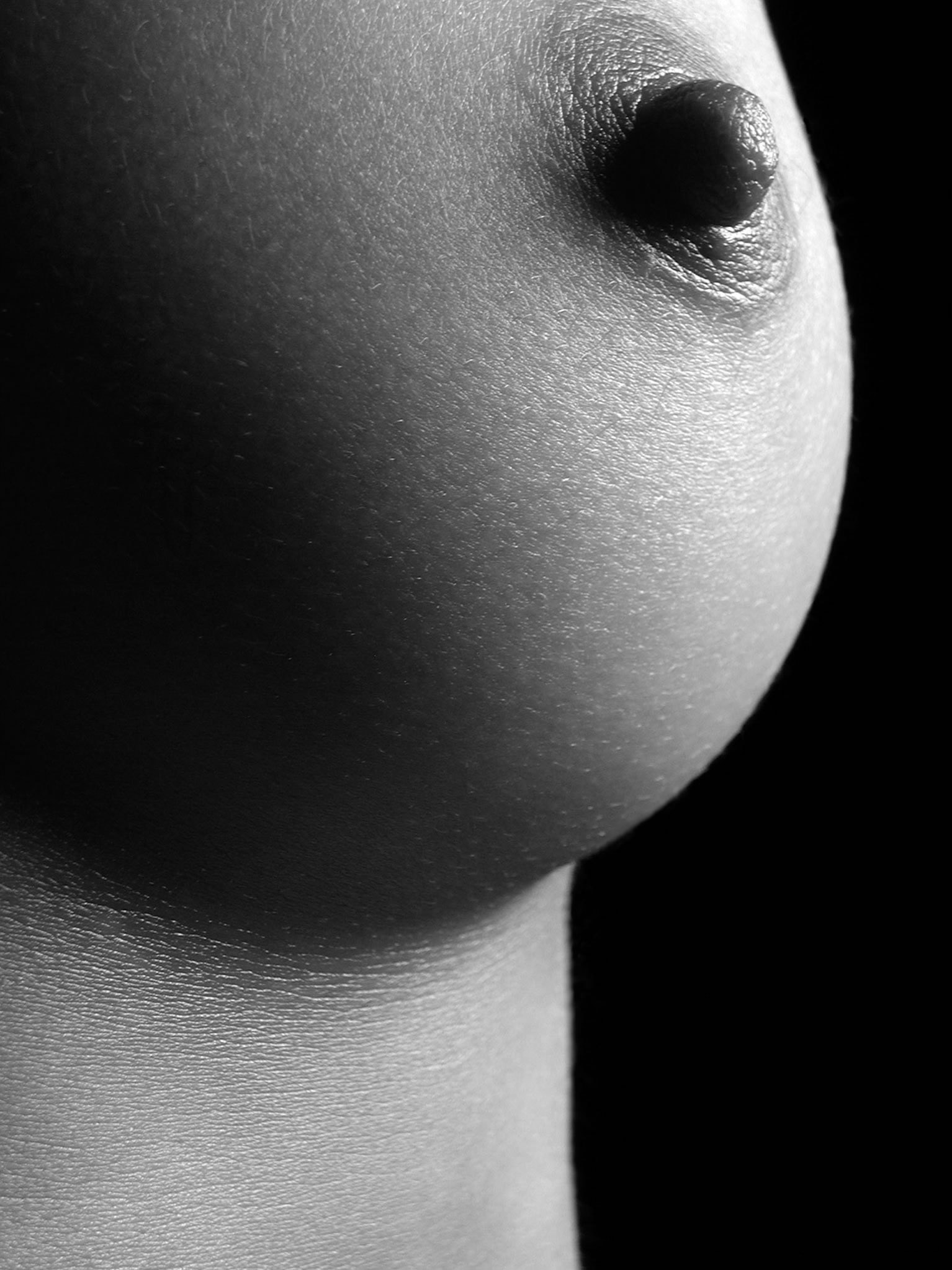 черно белые картинки женской груди фото 96
