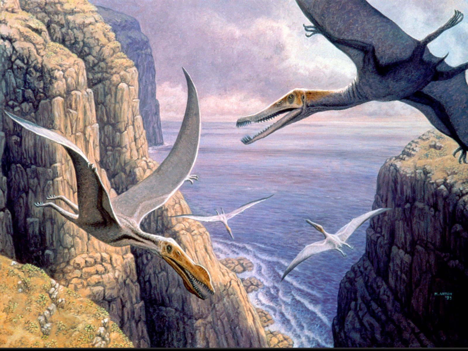 Возникновение первых птиц эра. Птеранодон Буриан. Птерозавры мезозойской эры. Летающие ящеры Юрского периода. Мезозойская Эра птеродактиль.