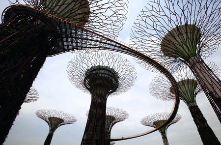Супер-деревья Сингапура