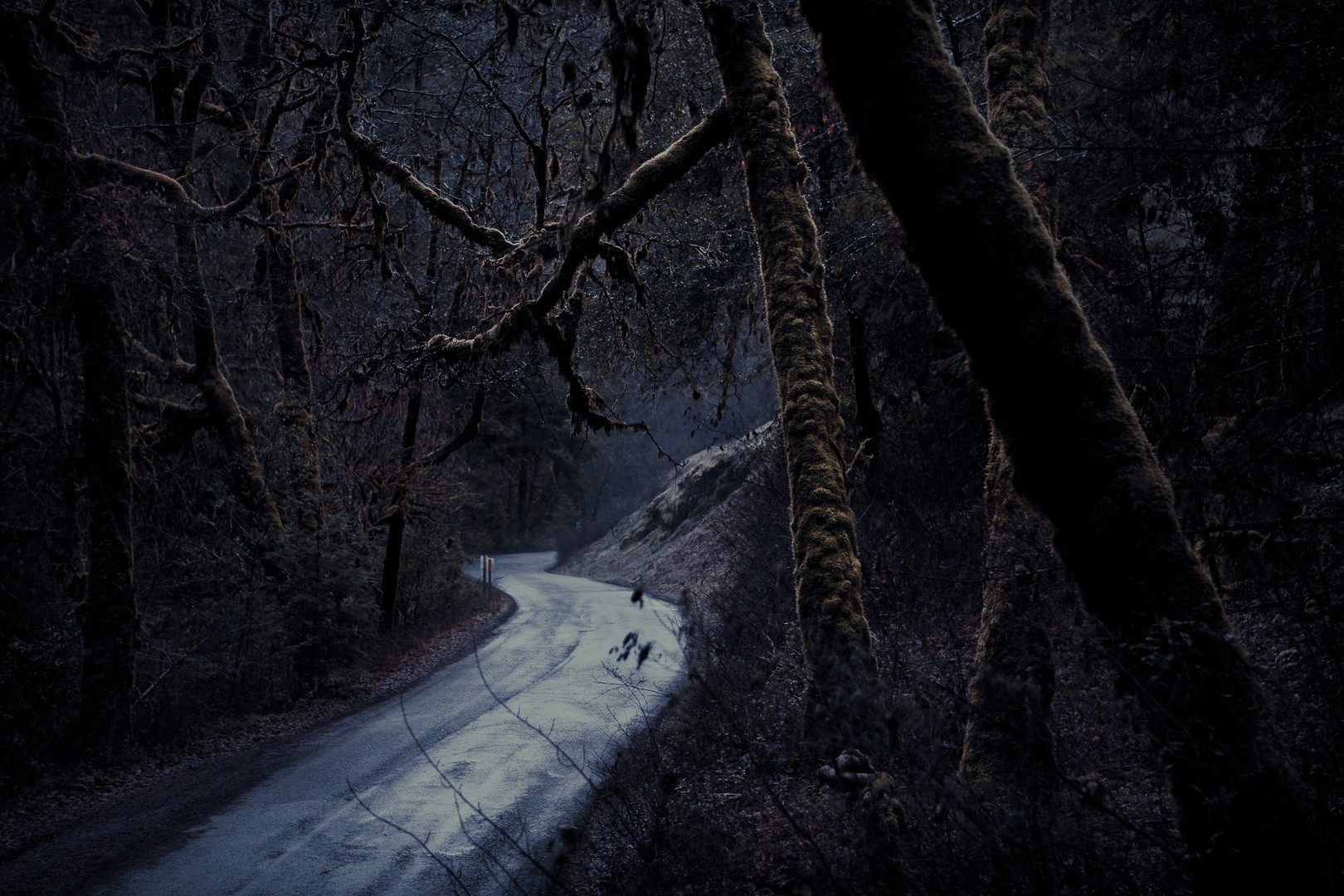 Дорога в темном лесу загрузить