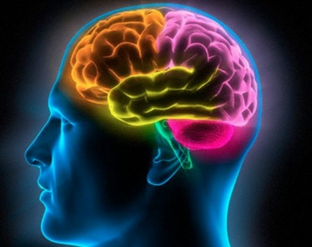 Сканы мозга показали, как ЛСД действует на сознание