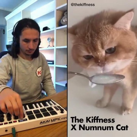 NumNum Cat (Igor Medvedev)