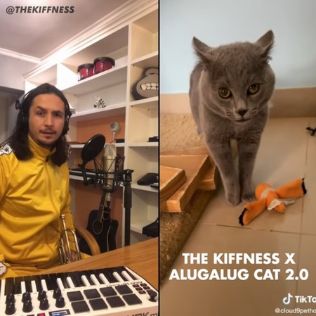 The Kiffness X Alugalug Cat 2.0 (Please Go Away)